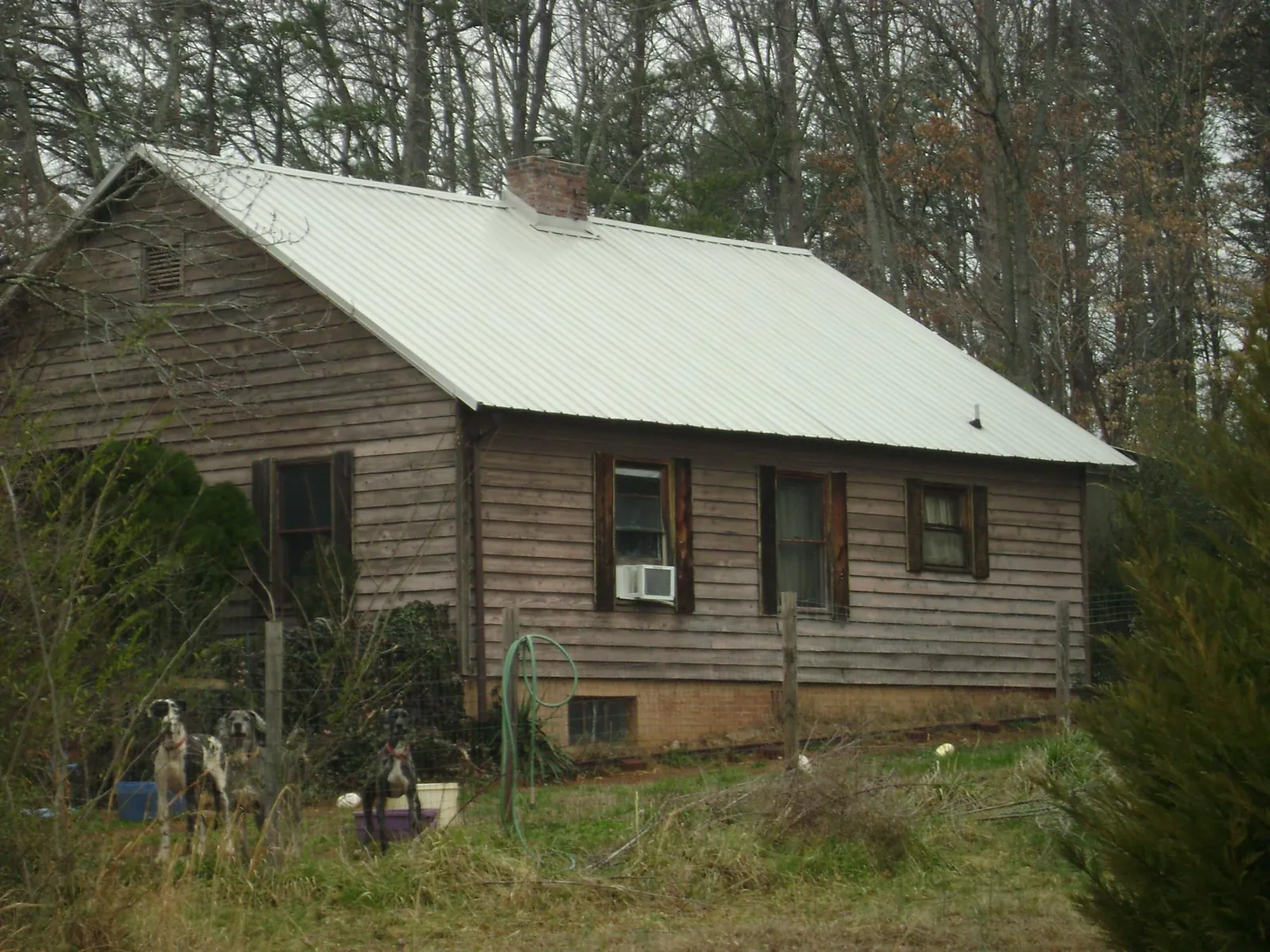 White metal roof on an old wood sided farmhouse, from a Asphalt Shingle Roof Repair job in Coalville